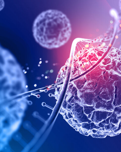 Stem Cell Therapy: Hope or Hype?
